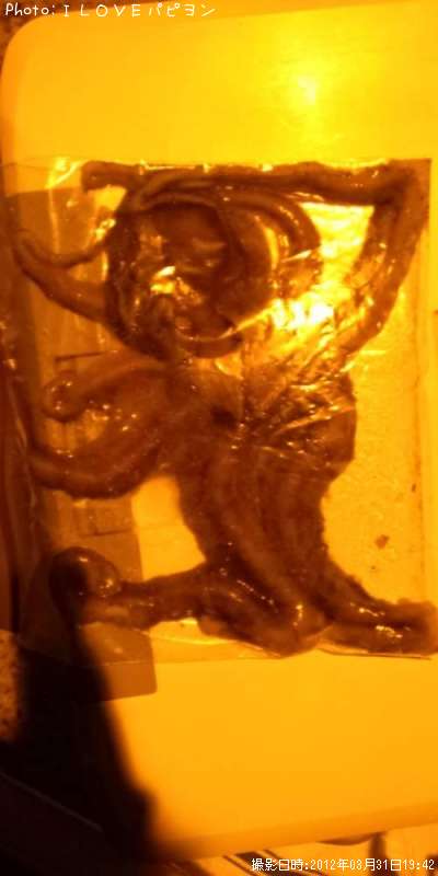 ��Ĺ����