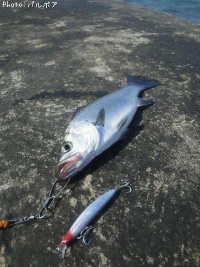 �ҥ饹����