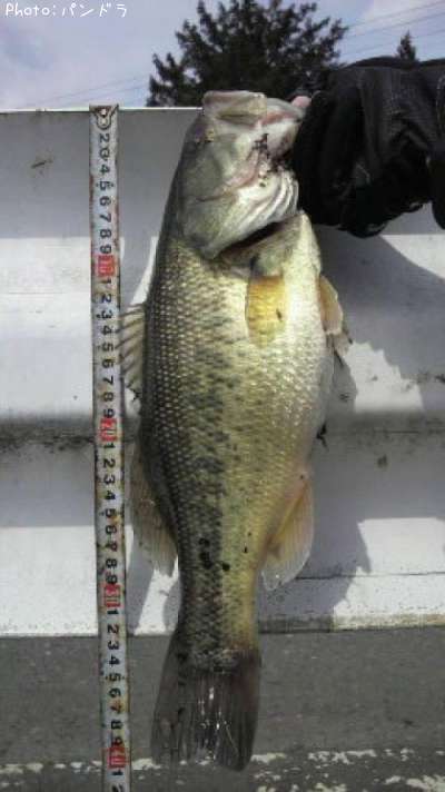 �֥�å��Х�