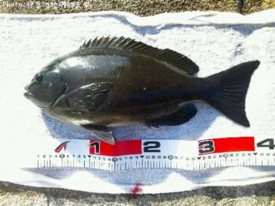 �����᥸��