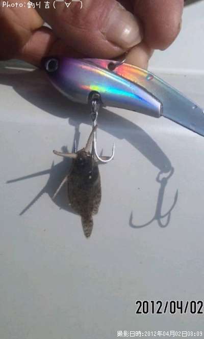 ���쥤���ҥȥ�