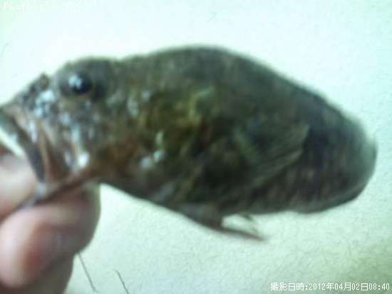 ������