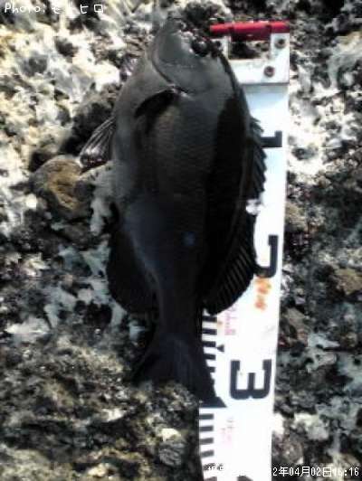 �����᥸��