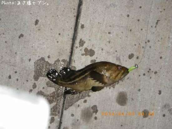 ���ޥ���