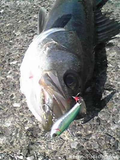 �����Х�