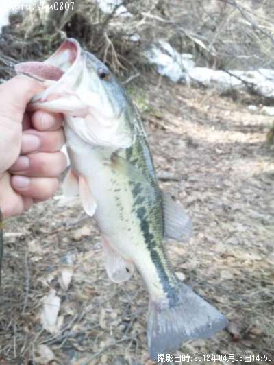 �֥�å��Х�