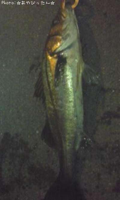 �����Х�