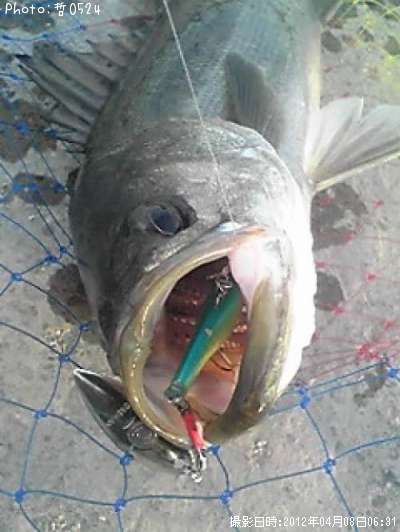 �����Х�