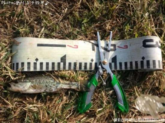 �Х������