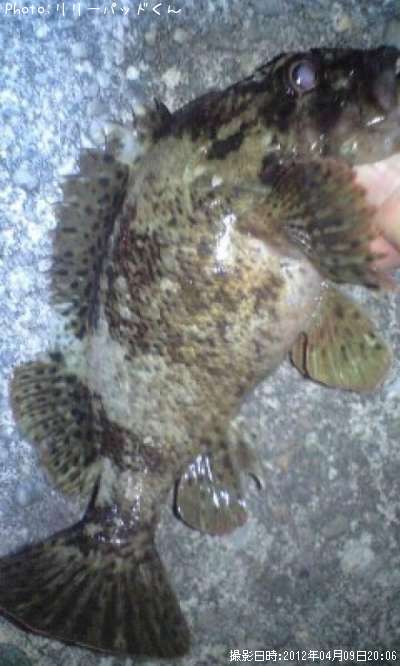 �������лҡʡ���������