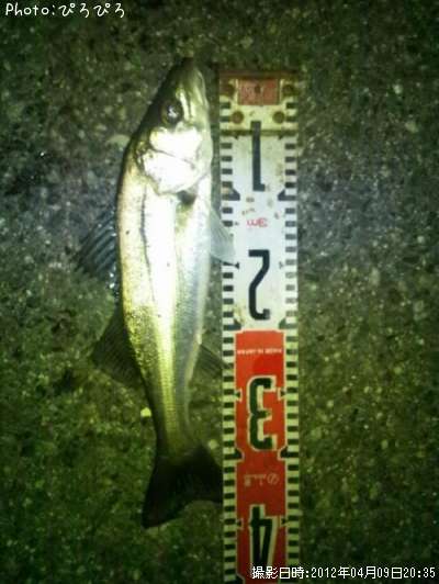 �����Х�