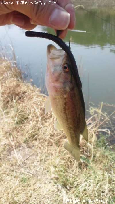 �֥�å��Х�