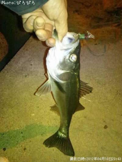 �����Х�