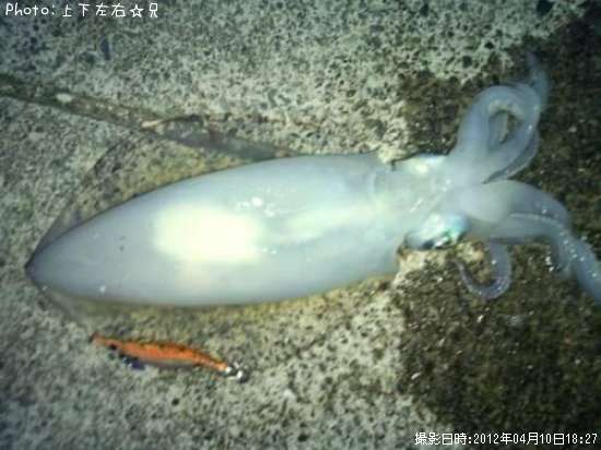 �����ꥤ��