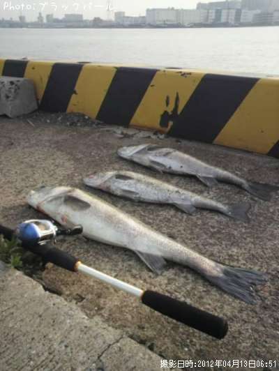 �����Х�