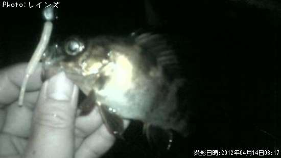 ��Х�������Υ�