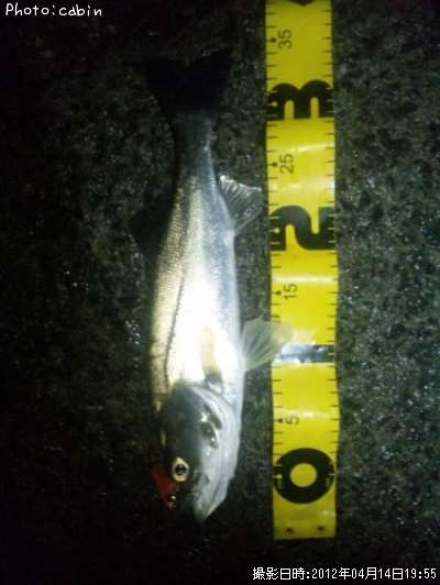 �����Х�