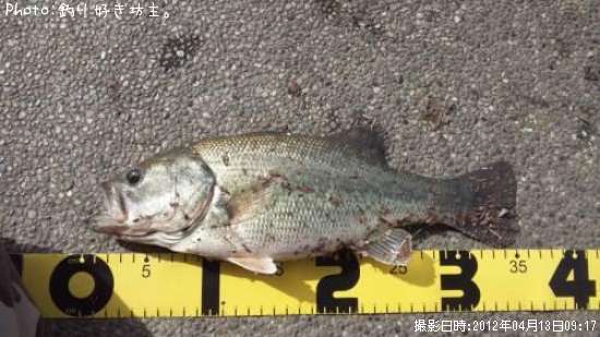 �֥�å��Х�