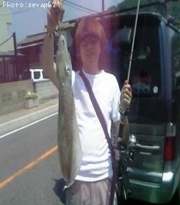 �����ꥤ��