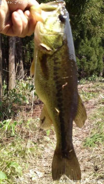 �֥�å��Х�