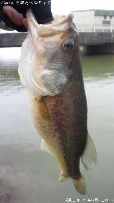 �֥�å��Х�