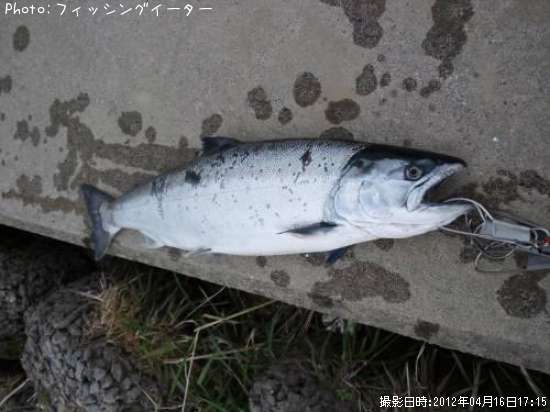 ������ޥ�