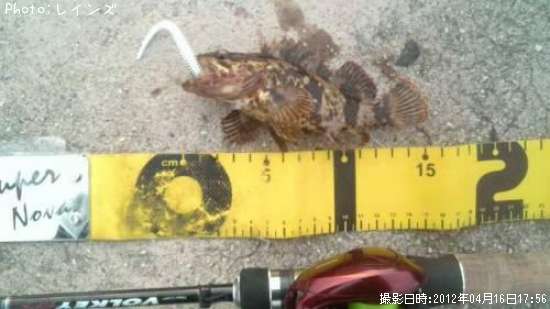 �����Υ���Х�