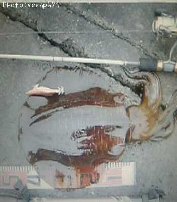 �����ꥤ��