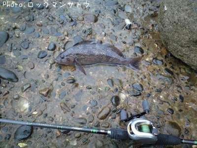 �����ʥ�