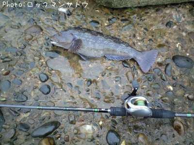 �����ʥ�