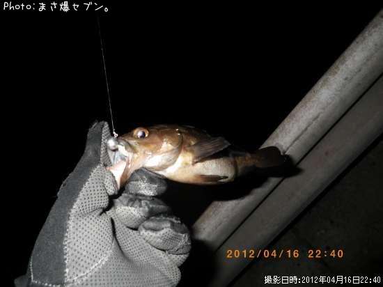 ������Х�