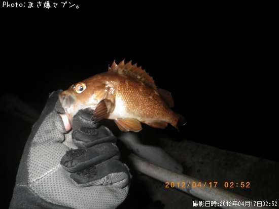 ������Х�