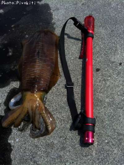 �����ꥤ��