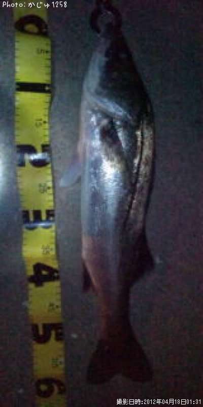 �����Х�