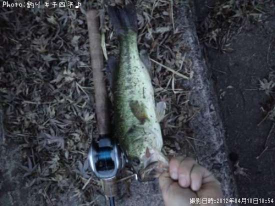 �֥�å��Х�