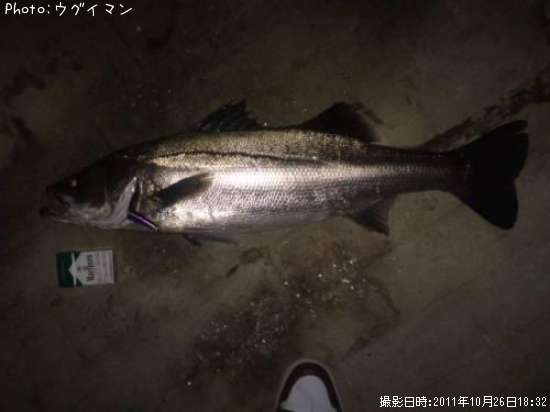 �����Х�