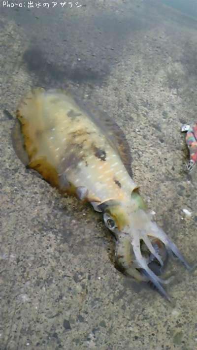 �ߥ�����