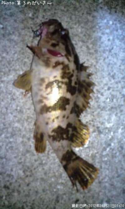 �����Υ���Х�