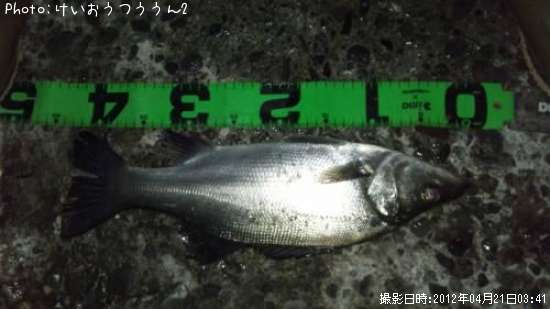 �ҥ饹����