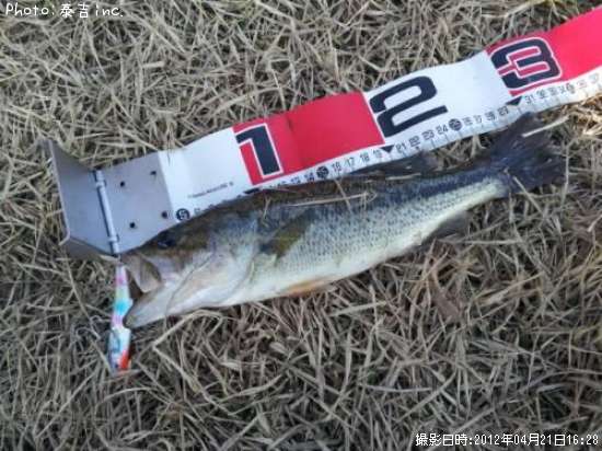 �֥�å��Х�