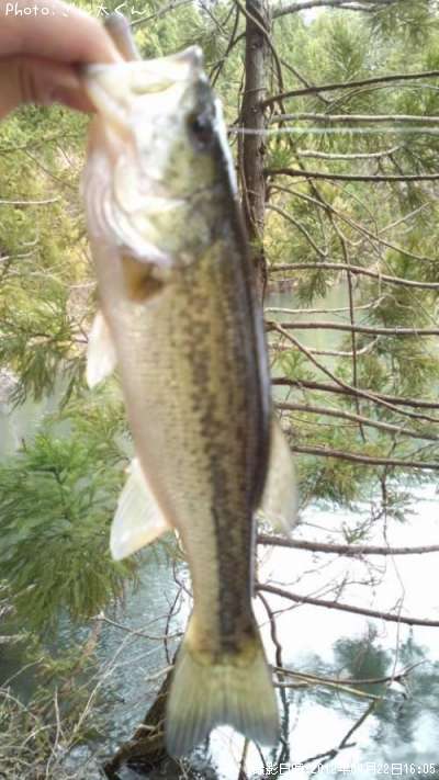 �֥�å��Х�