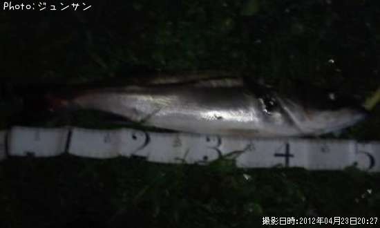 �����Х�