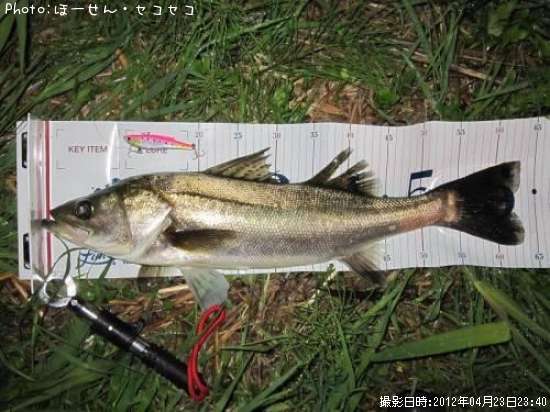 �����Х�