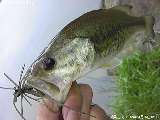 �֥�å��Х�