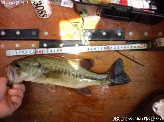 �֥�å��Х�