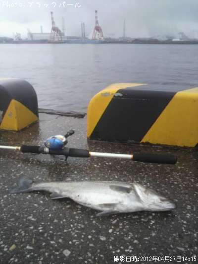 �����Х�