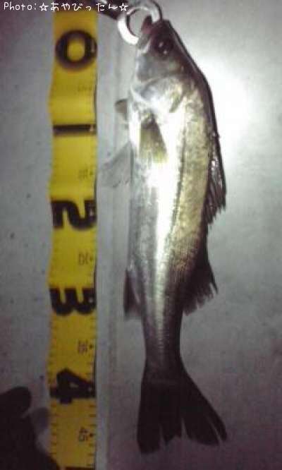 �����Х�