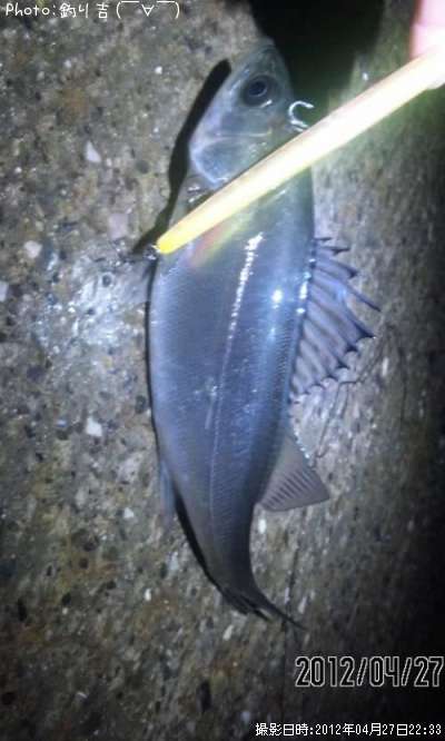 �����Х�