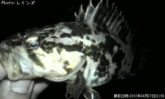 �����Υ���Х�