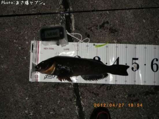 �����ʥ�